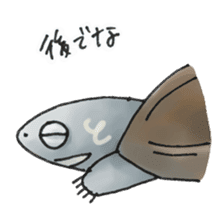 Japanese Turtle Kame-chan sticker #10694153