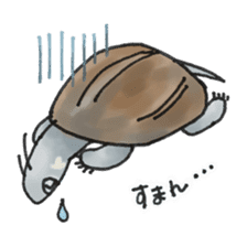 Japanese Turtle Kame-chan sticker #10694154