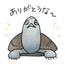 Japanese Turtle Kame-chan sticker #10694156
