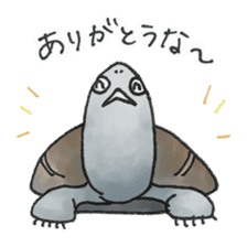 Japanese Turtle Kame-chan sticker #10694156