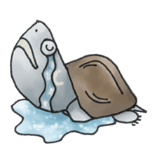 Japanese Turtle Kame-chan sticker #10694158