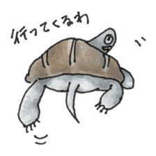 Japanese Turtle Kame-chan sticker #10694160