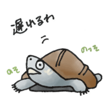 Japanese Turtle Kame-chan sticker #10694163