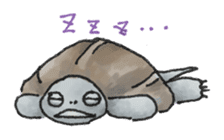Japanese Turtle Kame-chan sticker #10694166