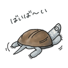 Japanese Turtle Kame-chan sticker #10694167