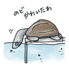 Japanese Turtle Kame-chan sticker #10694169