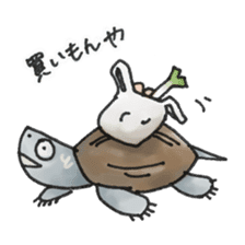 Japanese Turtle Kame-chan sticker #10694170