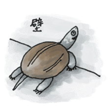Japanese Turtle Kame-chan sticker #10694171