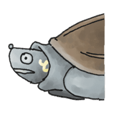 Japanese Turtle Kame-chan sticker #10694175