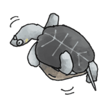 Japanese Turtle Kame-chan sticker #10694176