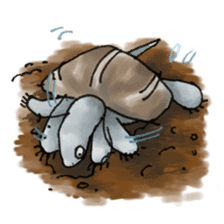 Japanese Turtle Kame-chan sticker #10694179