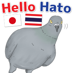 Hello Hato