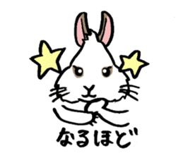 Cavy and rabbit's life sticker #10699878