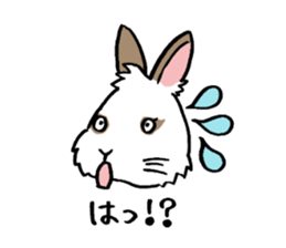 Cavy and rabbit's life sticker #10699879