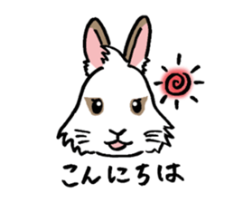 Cavy and rabbit's life sticker #10699881