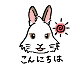 Cavy and rabbit's life sticker #10699881