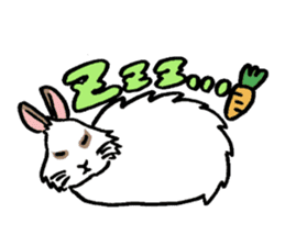 Cavy and rabbit's life sticker #10699883