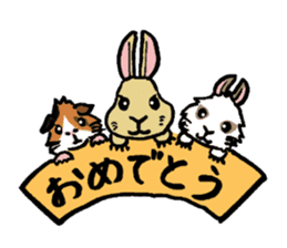 Cavy and rabbit's life sticker #10699899