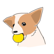 everyday dogs sticker #10700073