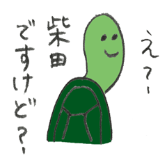 Turtle's name is Shibata2