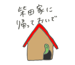 Turtle's name is Shibata2 sticker #10700334