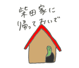 Turtle's name is Shibata2 sticker #10700334