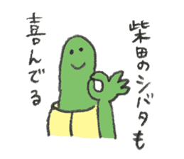 Turtle's name is Shibata2 sticker #10700335