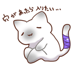 Daily Siamese cat sticker #10700541