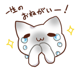 Daily Siamese cat sticker #10700543