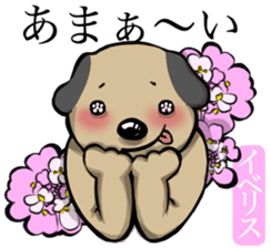 Dog and the language of flowers sticker #10701435
