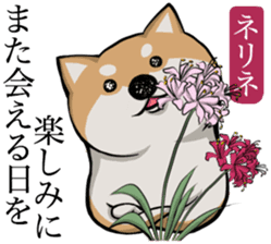 Dog and the language of flowers sticker #10701439