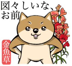 Dog and the language of flowers sticker #10701440