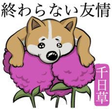 Dog and the language of flowers sticker #10701447