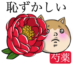 Dog and the language of flowers sticker #10701449