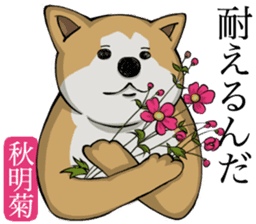 Dog and the language of flowers sticker #10701452