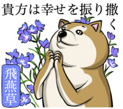 Dog and the language of flowers sticker #10701454