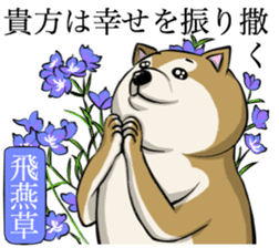 Dog and the language of flowers sticker #10701454