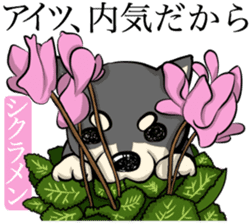 Dog and the language of flowers sticker #10701456