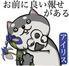 Dog and the language of flowers sticker #10701458