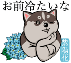 Dog and the language of flowers sticker #10701459