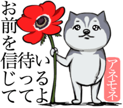 Dog and the language of flowers sticker #10701460