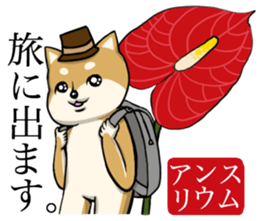 Dog and the language of flowers sticker #10701462