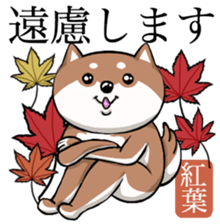 Dog and the language of flowers sticker #10701466