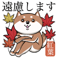 Dog and the language of flowers sticker #10701466