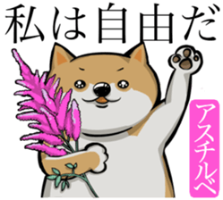 Dog and the language of flowers sticker #10701471