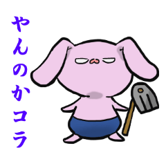 The rabbit which seems bad