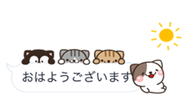 NEKO HUKIDASI sticker #10704121