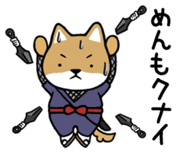 NEKO DAIKAN 4 sticker #10705099