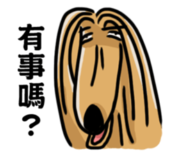 the Arrogant Afghan Hound sticker #10707406