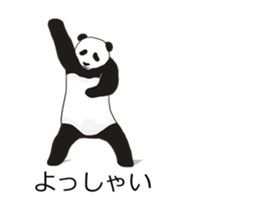 Panda, appeared in the balloon sticker #10708001